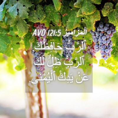 Picture 04 - اَلْمَزَامِيرُ 121:5 AVD - ٱلرَّبُّ حَافِظُكَ. - Bible Verse Picture