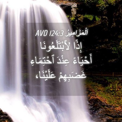 Picture 04 - اَلْمَزَامِيرُ 124:3 AVD - إِذًا لَٱبْتَلَعُونَا - Bible Verse Picture