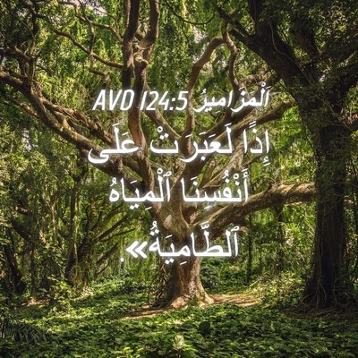 Picture 04 - اَلْمَزَامِيرُ 124:5 AVD - إِذًا لَعَبَرَتْ عَلَى - Bible Verse Picture