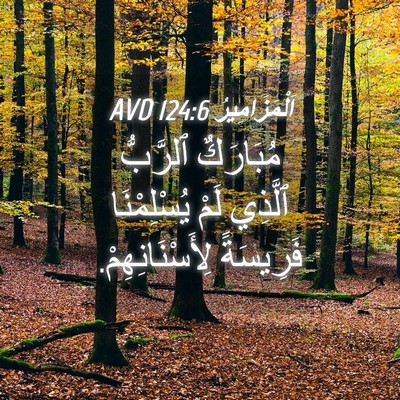 Picture 04 - اَلْمَزَامِيرُ 124:6 AVD - مُبَارَكٌ ٱلرَّبُّ - Bible Verse Picture