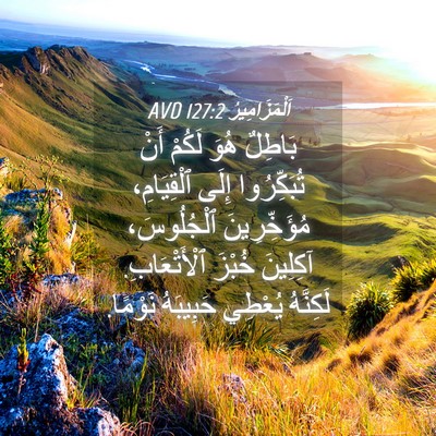 Picture 04 - اَلْمَزَامِيرُ 127:2 AVD - بَاطِلٌ هُوَ لَكُمْ أَنْ - Bible Verse Picture