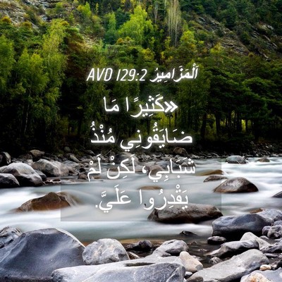 Picture 04 - اَلْمَزَامِيرُ 129:2 AVD - «كَثِيرًا مَا ضَايَقُونِي - Bible Verse Picture