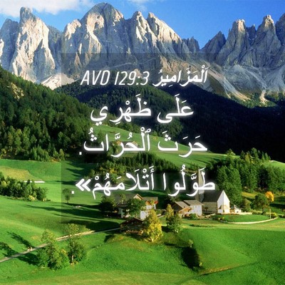 Picture 04 - اَلْمَزَامِيرُ 129:3 AVD - عَلَى ظَهْرِي حَرَثَ - Bible Verse Picture