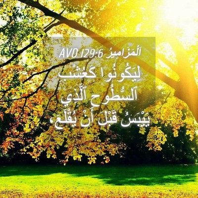 Picture 04 - اَلْمَزَامِيرُ 129:6 AVD - لِيَكُونُوا كَعُشْبِ - Bible Verse Picture