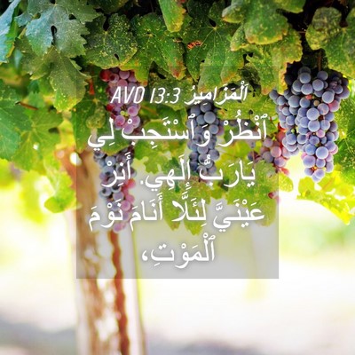 Picture 04 - اَلْمَزَامِيرُ 13:3 AVD - ٱنْظُرْ وَٱسْتَجِبْ لِي - Bible Verse Picture