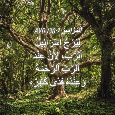 Picture 04 - اَلْمَزَامِيرُ 130:7 AVD - لِيَرْجُ إِسْرَائِيلُ - Bible Verse Picture