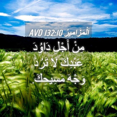 Picture 04 - اَلْمَزَامِيرُ 132:10 AVD - مِنْ أَجْلِ دَاوُدَ - Bible Verse Picture