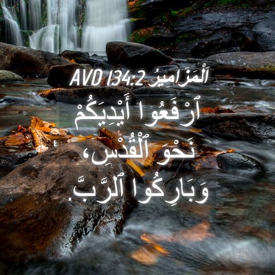 Picture 04 - اَلْمَزَامِيرُ 134:2 AVD - ٱرْفَعُوا أَيْدِيَكُمْ - Bible Verse Picture