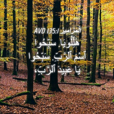 Picture 04 - اَلْمَزَامِيرُ 135:1 AVD - هَلِّلُويَا. سَبِّحُوا - Bible Verse Picture