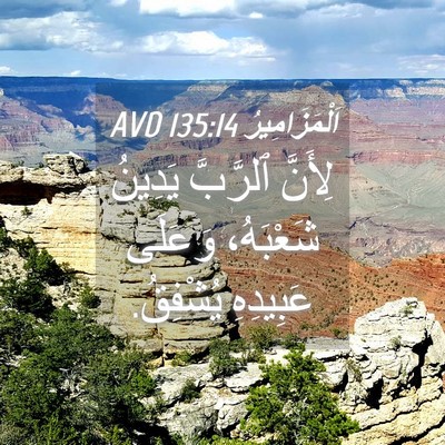 Picture 04 - اَلْمَزَامِيرُ 135:14 AVD - لِأَنَّ ٱلرَّبَّ يَدِينُ - Bible Verse Picture