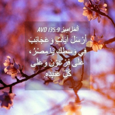 Picture 04 - اَلْمَزَامِيرُ 135:9 AVD - أَرْسَلَ آيَاتٍ - Bible Verse Picture