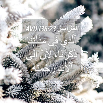 Picture 04 - اَلْمَزَامِيرُ 136:23 AVD - ٱلَّذِي فِي مَذَلَّتِنَا - Bible Verse Picture