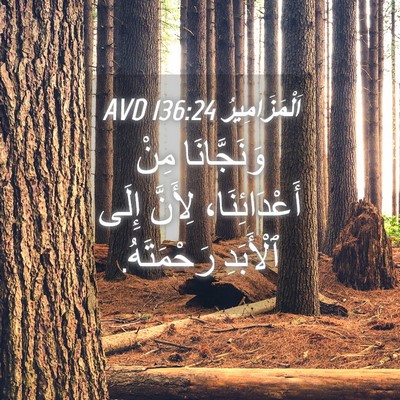 Picture 04 - اَلْمَزَامِيرُ 136:24 AVD - وَنَجَّانَا مِنْ - Bible Verse Picture