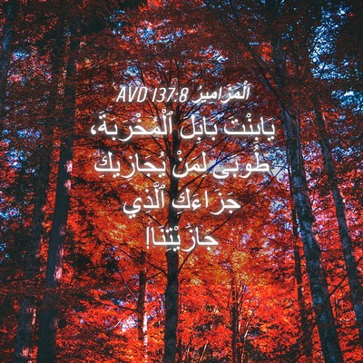 Picture 04 - اَلْمَزَامِيرُ 137:8 AVD - يَابِنْتَ بَابِلَ - Bible Verse Picture
