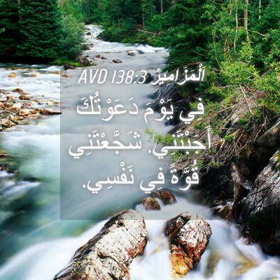 Picture 04 - اَلْمَزَامِيرُ 138:3 AVD - فِي يَوْمَ دَعَوْتُكَ - Bible Verse Picture