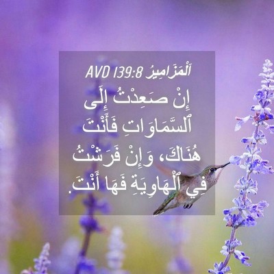 Picture 04 - اَلْمَزَامِيرُ 139:8 AVD - إِنْ صَعِدْتُ إِلَى - Bible Verse Picture