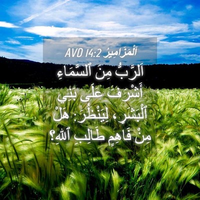 Picture 04 - اَلْمَزَامِيرُ 14:2 AVD - اَلرَّبُّ مِنَ ٱلسَّمَاءِ - Bible Verse Picture