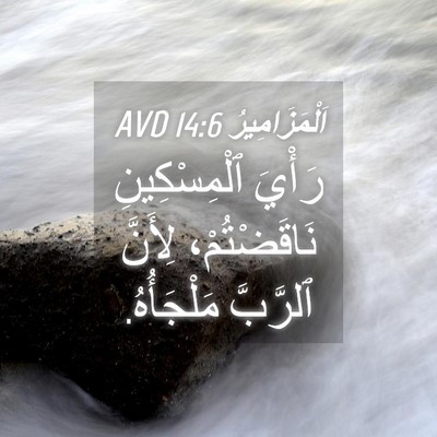 Picture 04 - اَلْمَزَامِيرُ 14:6 AVD - رَأْيَ ٱلْمِسْكِينِ - Bible Verse Picture