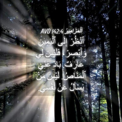 Picture 04 - اَلْمَزَامِيرُ 142:4 AVD - ٱنْظُرْ إِلَى ٱلْيَمِينِ - Bible Verse Picture