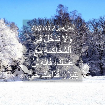 Picture 04 - اَلْمَزَامِيرُ 143:2 AVD - وَلَا تَدْخُلْ فِي - Bible Verse Picture