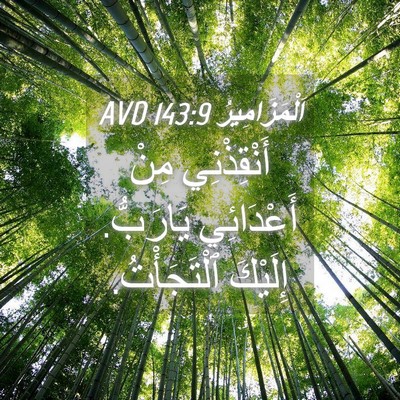 Picture 04 - اَلْمَزَامِيرُ 143:9 AVD - أَنْقِذْنِي مِنْ - Bible Verse Picture