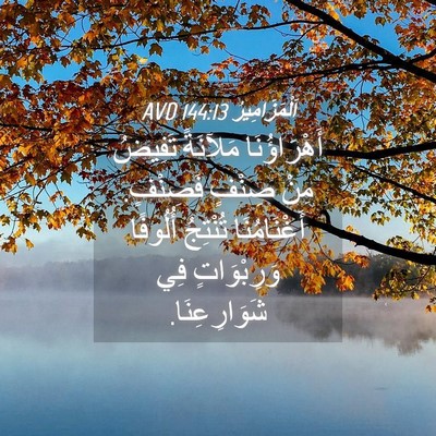 Picture 04 - اَلْمَزَامِيرُ 144:13 AVD - أَهْرَاؤُنَا مَلآنَةً - Bible Verse Picture