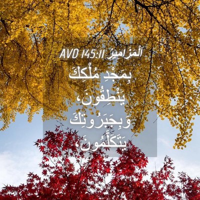 Picture 04 - اَلْمَزَامِيرُ 145:11 AVD - بِمَجْدِ مُلْكِكَ - Bible Verse Picture