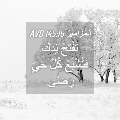 Picture 04 - اَلْمَزَامِيرُ 145:16 AVD - تَفْتَحُ يَدَكَ - Bible Verse Picture