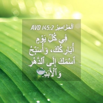 Picture 04 - اَلْمَزَامِيرُ 145:2 AVD - فِي كُلِّ يَوْمٍ - Bible Verse Picture