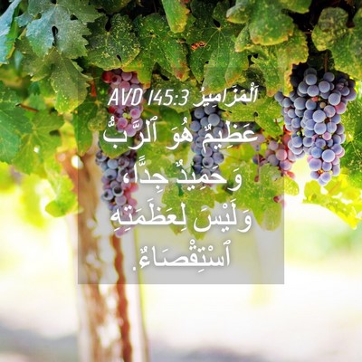 Picture 04 - اَلْمَزَامِيرُ 145:3 AVD - عَظِيمٌ هُوَ ٱلرَّبُّ - Bible Verse Picture