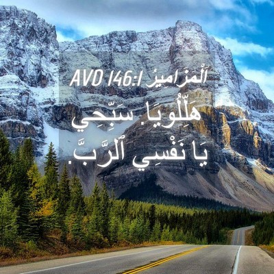 Picture 04 - اَلْمَزَامِيرُ 146:1 AVD - هَلِّلُويَا. سَبِّحِي يَا - Bible Verse Picture