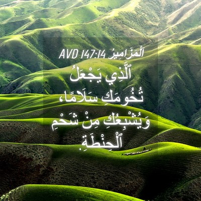 Picture 04 - اَلْمَزَامِيرُ 147:14 AVD - ٱلَّذِي يَجْعَلُ - Bible Verse Picture