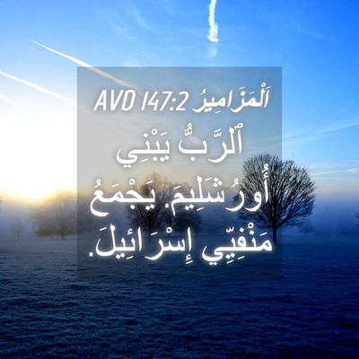Picture 04 - اَلْمَزَامِيرُ 147:2 AVD - ٱلرَّبُّ يَبْنِي - Bible Verse Picture