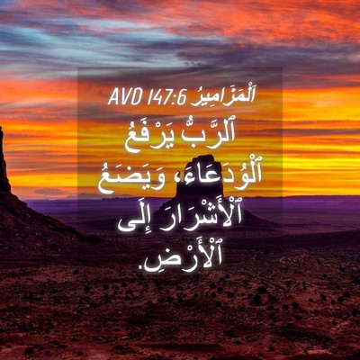 Picture 04 - اَلْمَزَامِيرُ 147:6 AVD - ٱلرَّبُّ يَرْفَعُ - Bible Verse Picture