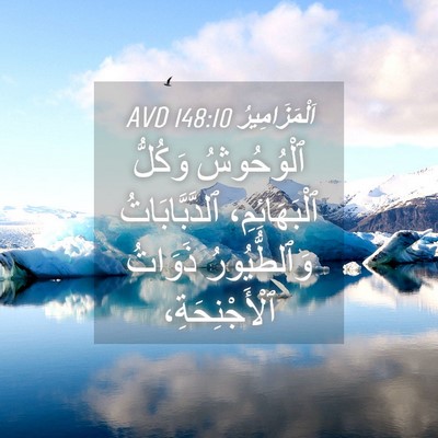 Picture 04 - اَلْمَزَامِيرُ 148:10 AVD - ٱلْوُحُوشُ وَكُلُّ - Bible Verse Picture