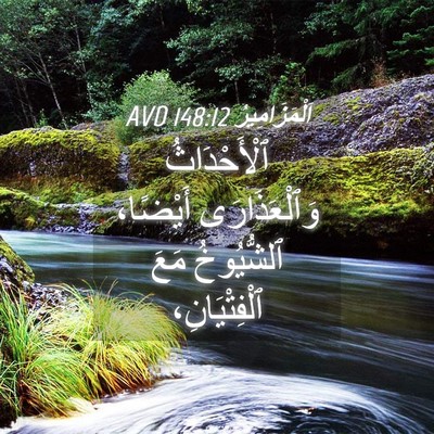 Picture 04 - اَلْمَزَامِيرُ 148:12 AVD - ٱلْأَحْدَاثُ - Bible Verse Picture