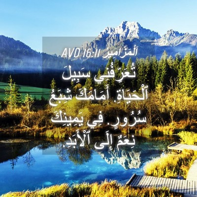Picture 04 - اَلْمَزَامِيرُ 16:11 AVD - تُعَرِّفُنِي سَبِيلَ - Bible Verse Picture