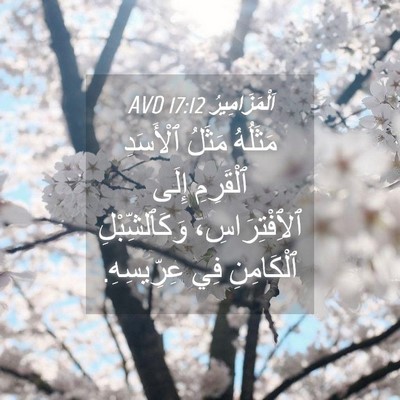 Picture 04 - اَلْمَزَامِيرُ 17:12 AVD - مَثَلُهُ مَثَلُ ٱلْأَسَدِ - Bible Verse Picture