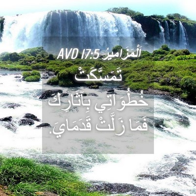 Picture 04 - اَلْمَزَامِيرُ 17:5 AVD - تَمَسَّكَتْ خُطُوَاتِي - Bible Verse Picture