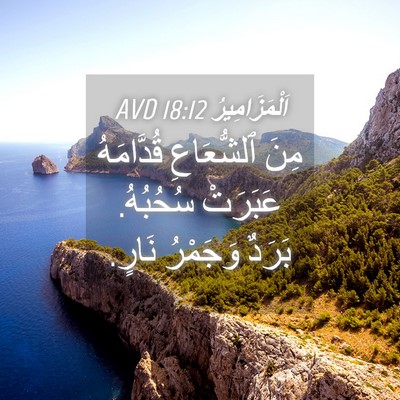 Picture 04 - اَلْمَزَامِيرُ 18:12 AVD - مِنَ ٱلشُّعَاعِ - Bible Verse Picture