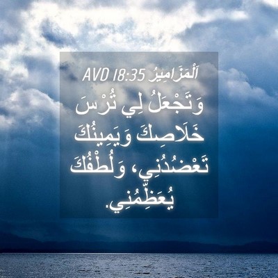 Picture 04 - اَلْمَزَامِيرُ 18:35 AVD - وَتَجْعَلُ لِي تُرْسَ - Bible Verse Picture