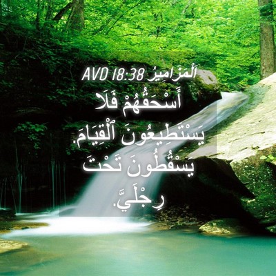 Picture 04 - اَلْمَزَامِيرُ 18:38 AVD - أَسْحَقُهُمْ فَلَا - Bible Verse Picture