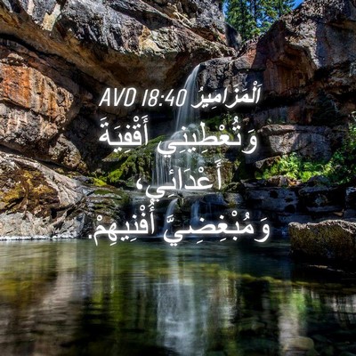 Picture 04 - اَلْمَزَامِيرُ 18:40 AVD - وَتُعْطِينِي أَقْفِيَةَ - Bible Verse Picture