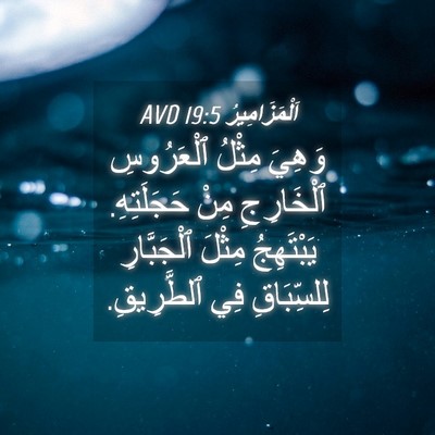Picture 04 - اَلْمَزَامِيرُ 19:5 AVD - وَهِيَ مِثْلُ ٱلْعَرُوسِ - Bible Verse Picture