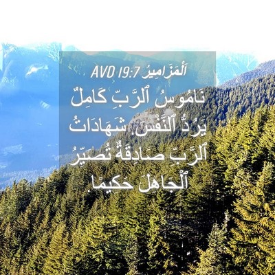Picture 04 - اَلْمَزَامِيرُ 19:7 AVD - نَامُوسُ ٱلرَّبِّ كَامِلٌ - Bible Verse Picture