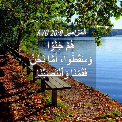 Picture 04 - اَلْمَزَامِيرُ 20:8 AVD - هُمْ جَثَوْا وَسَقَطُوا، - Bible Verse Picture