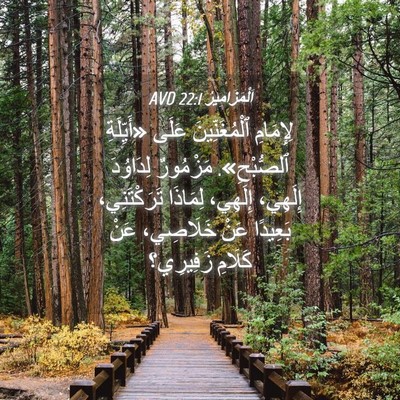 Picture 04 - اَلْمَزَامِيرُ 22:1 AVD - لِإِمَامِ ٱلْمُغَنِّينَ - Bible Verse Picture