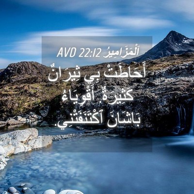 Picture 04 - اَلْمَزَامِيرُ 22:12 AVD - أَحَاطَتْ بِي ثِيرَانٌ - Bible Verse Picture