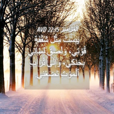 Picture 04 - اَلْمَزَامِيرُ 22:15 AVD - يَبِسَتْ مِثْلَ شَقْفَةٍ - Bible Verse Picture