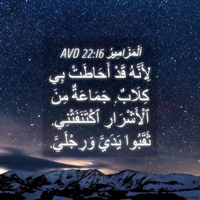 Picture 04 - اَلْمَزَامِيرُ 22:16 AVD - لِأَنَّهُ قَدْ أَحَاطَتْ - Bible Verse Picture
